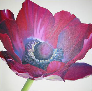 Kirsty Lorenz 'Butterfly Anemone'