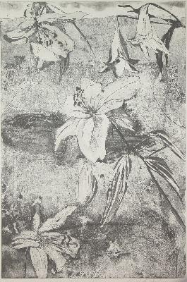 {short description of image}